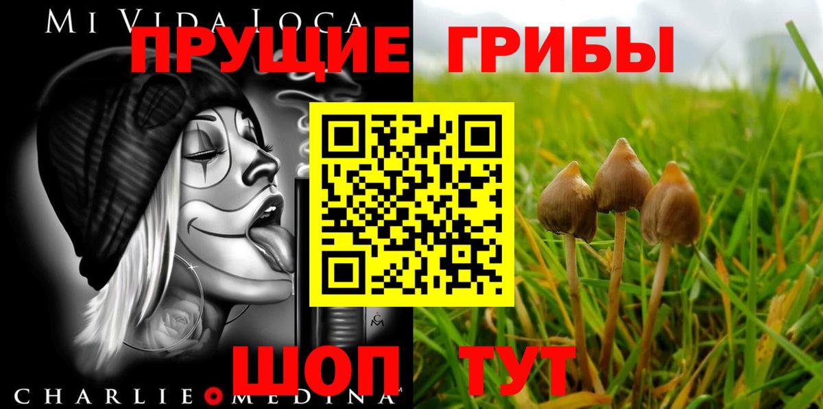 Галлюциногенные грибы мицелий  Псилоцибиновые грибы мухоморы  Вход с VPN  Малгобек 